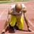 Dealing with Performance Anxiety